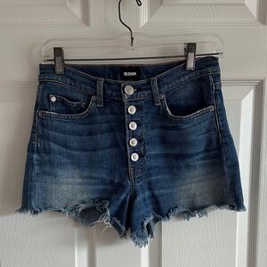 Hudson jeans cutoff shorts